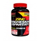  SAN Zinc Magnesium Aspartate 90 