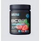  Muscle Pro Revolution BCAA 8:1:1 340 